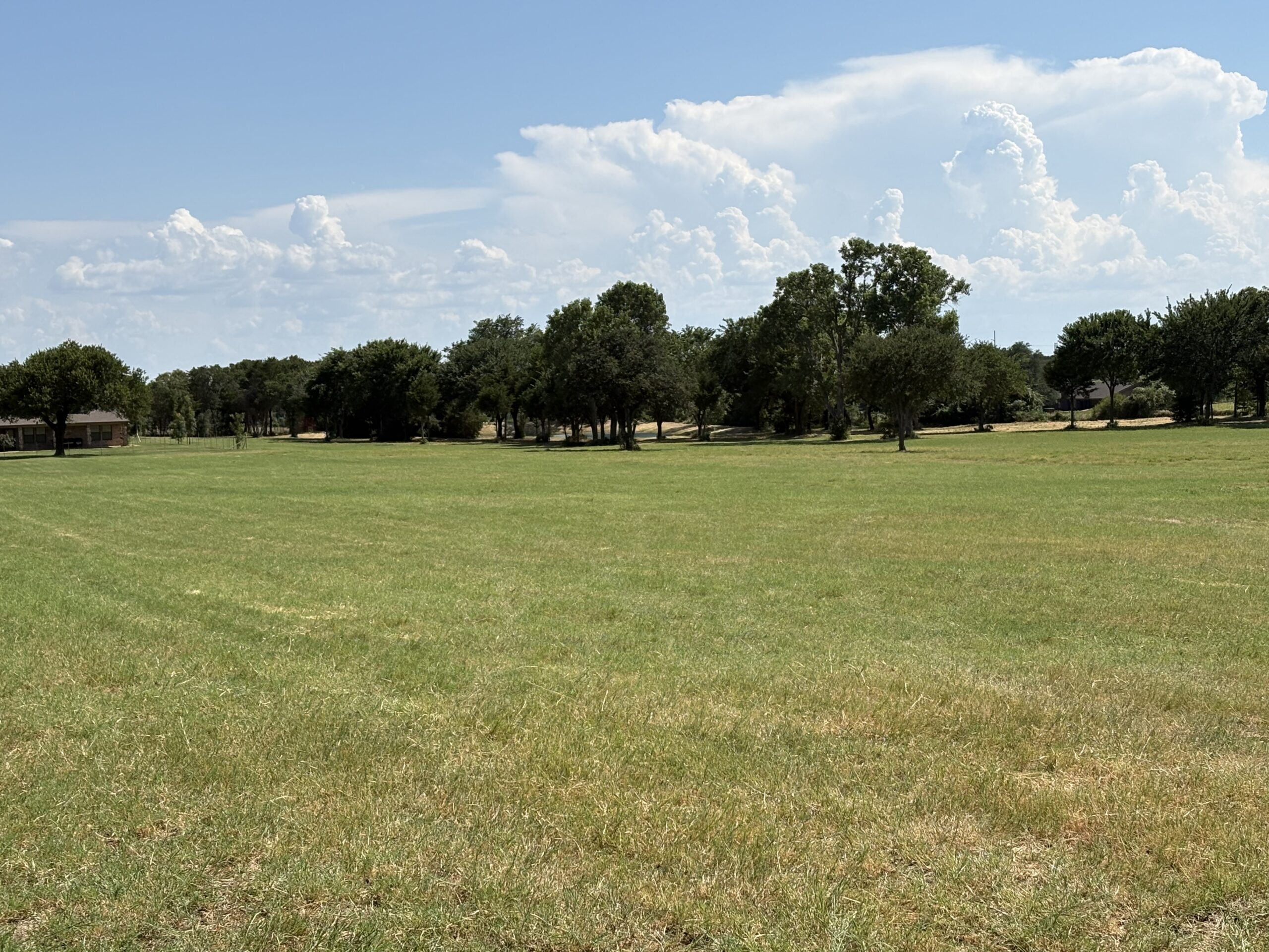 Bermuda Grass Hay