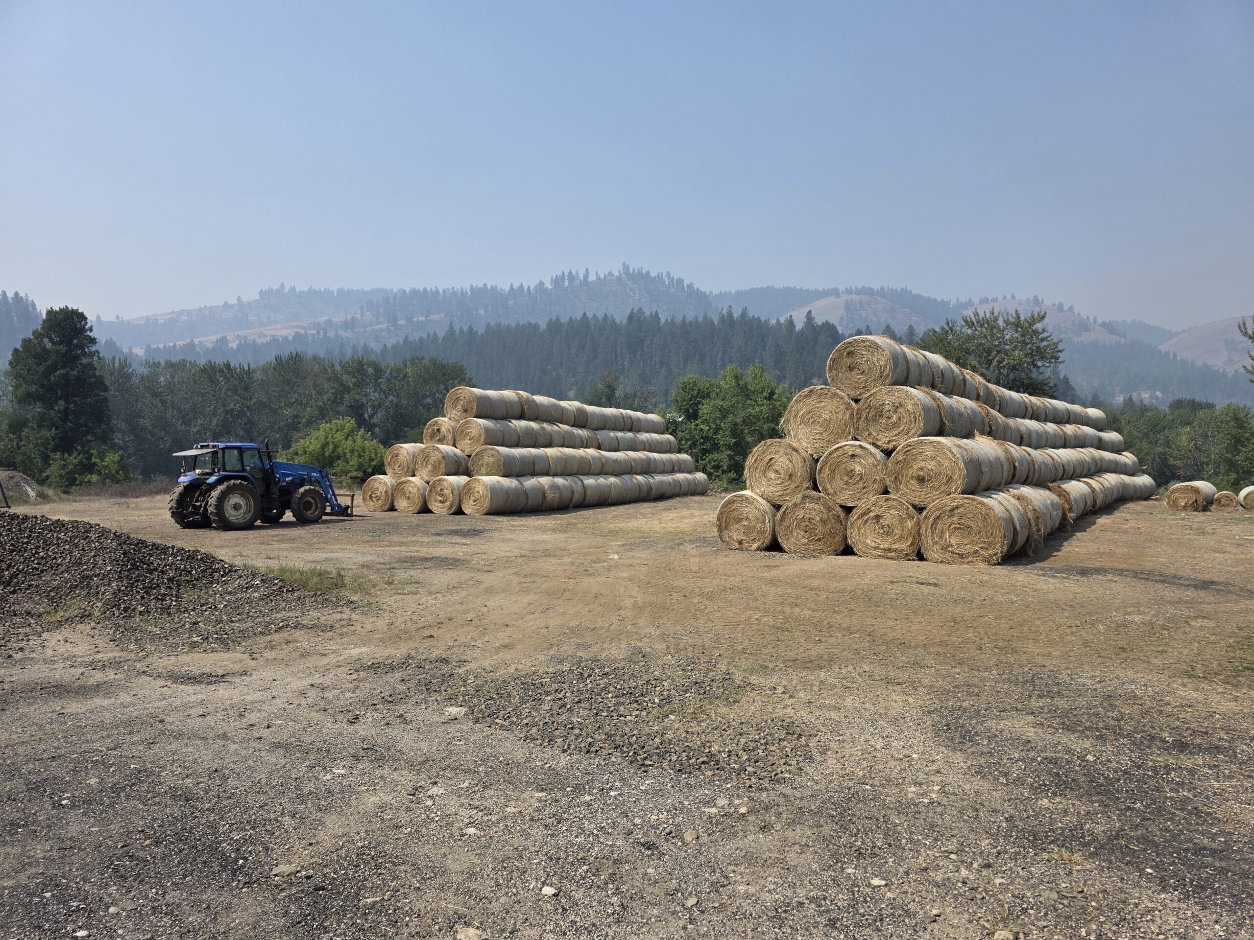 Orchard/Timothy Grass Hay