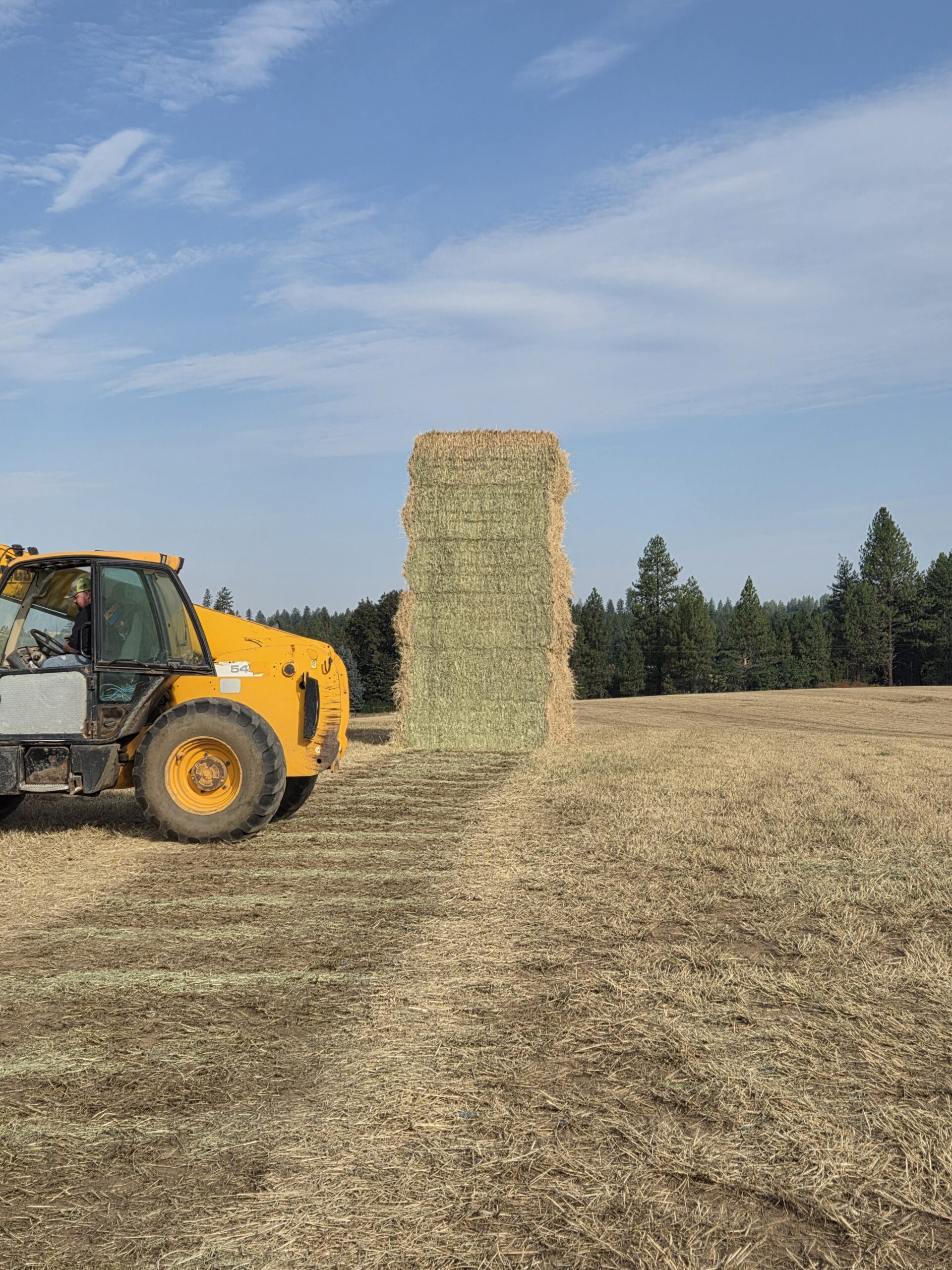 Mixed Grass Hay