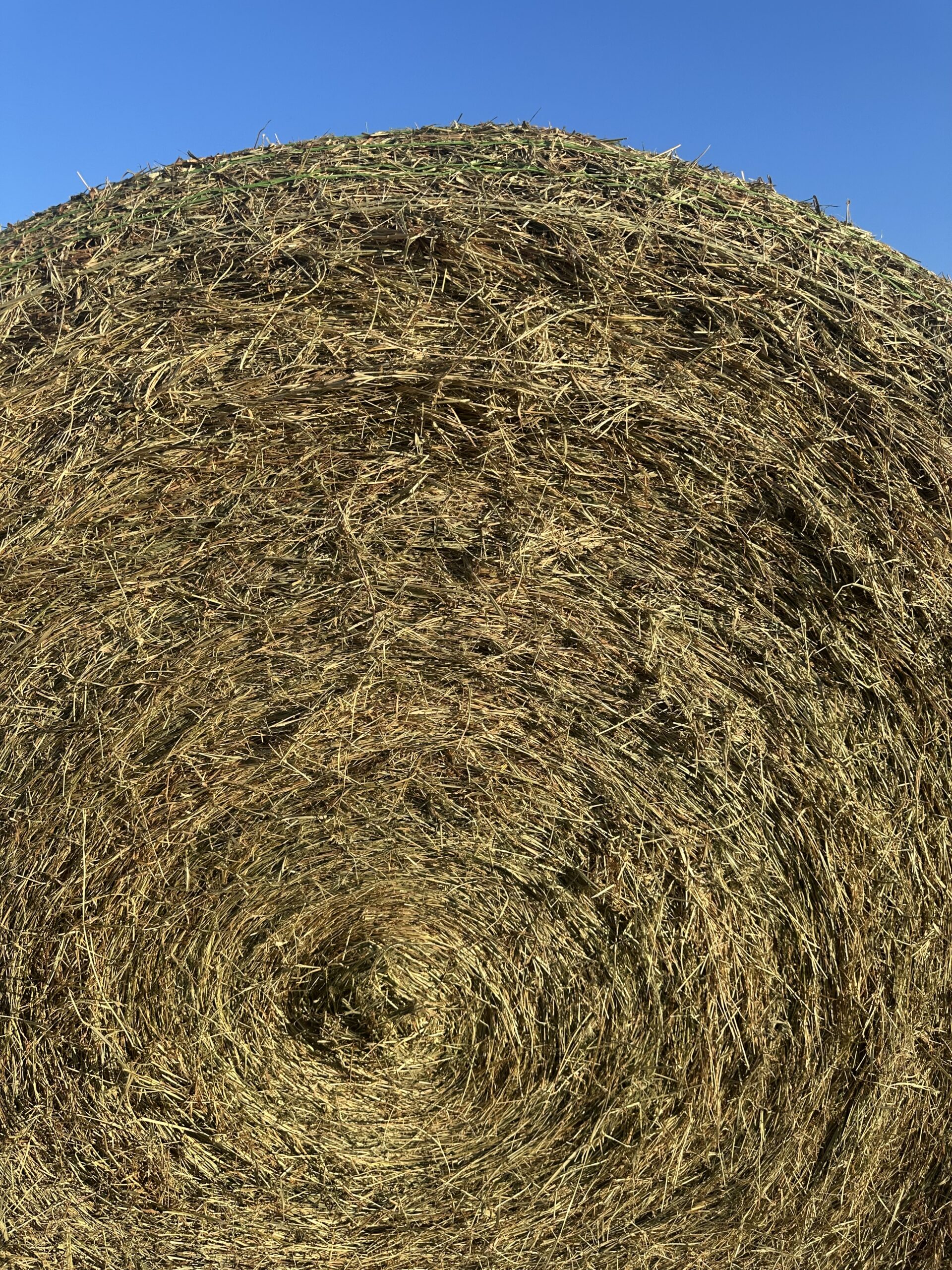 Mixed Grass Hay