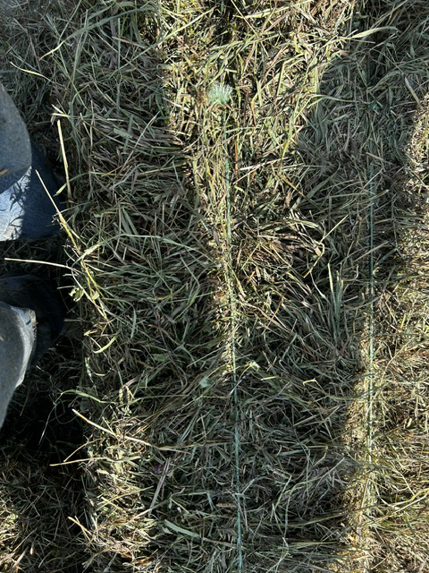 Clover/Grass Mix Hay