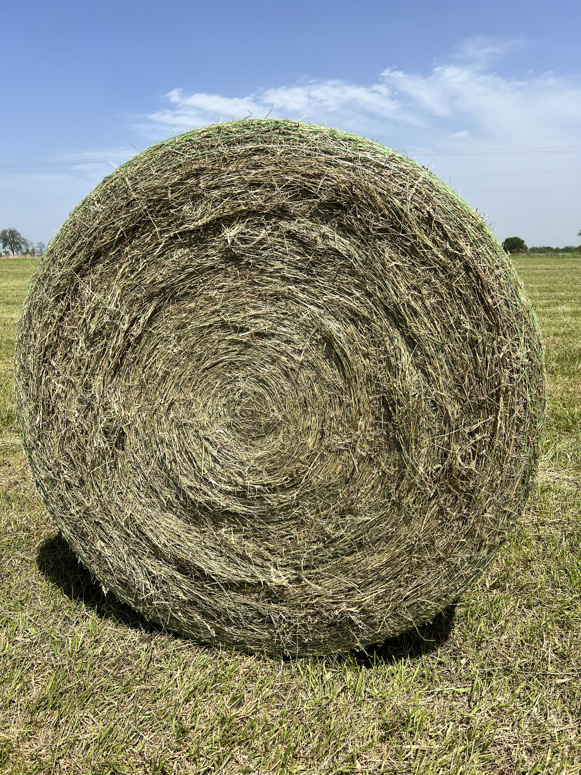 Clover/Grass Mix Hay